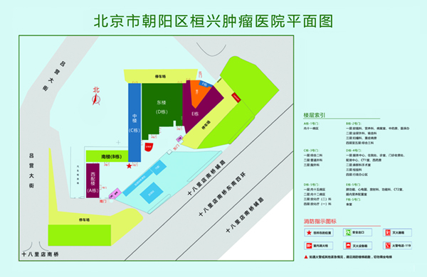 大鸡把插淫穴视频北京市朝阳区桓兴肿瘤医院平面图